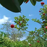 Отель типа 