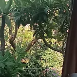 Lidia Отель типа 