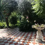 Oda ve Kahvaltı Lidia