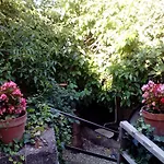 Lidia Oda ve Kahvaltı 4*