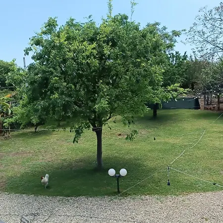 فندق مبيت وإفطار Lidia أتشيريالي