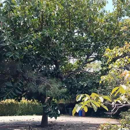 Bed and breakfast Lidia Acireale