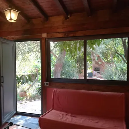 Lidia أتشيريالي