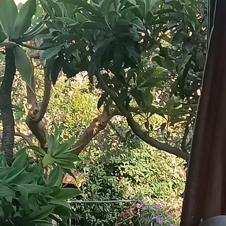 Lidia فندق مبيت وإفطار