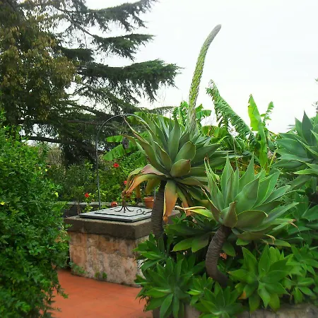 Lidia With Parking And Jacuzzi 4*