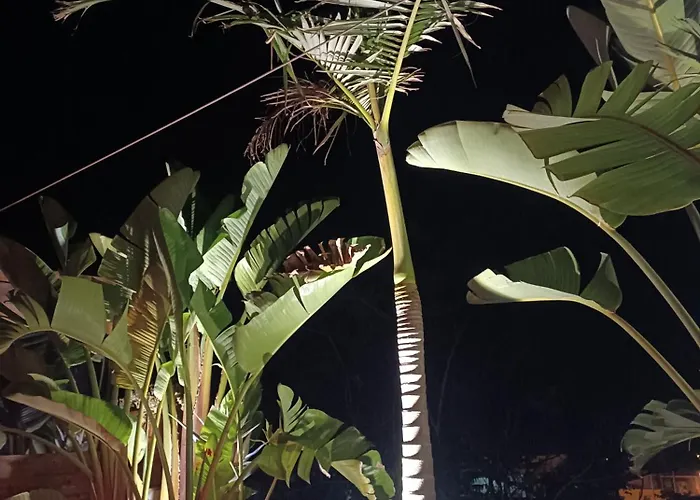 Lidia Bed & Breakfast