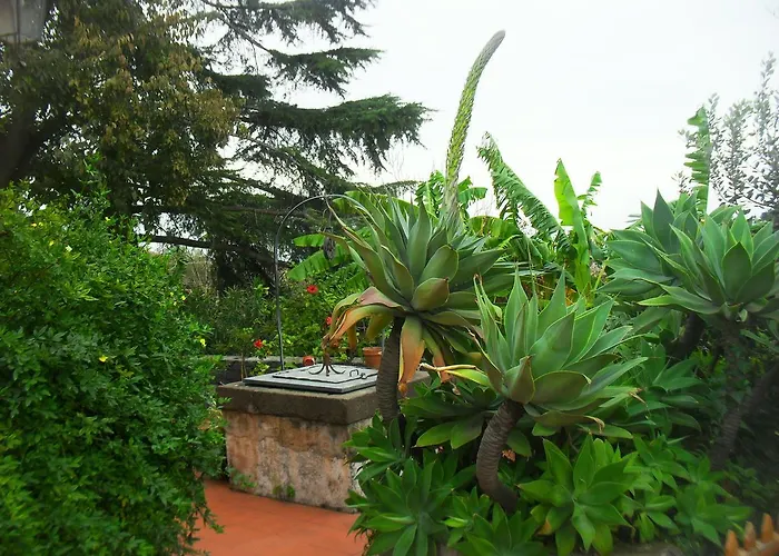 Lidia 4*
